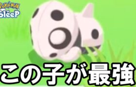 強いココドラが何よりも欲しいです・・・。【ポケモンスリープ】