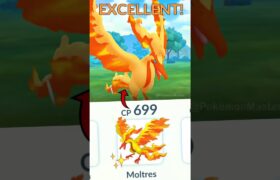 using 699 Cp SHINY GALARIAN MOLTRES vs High Cp Grunt (Pokemon GO)