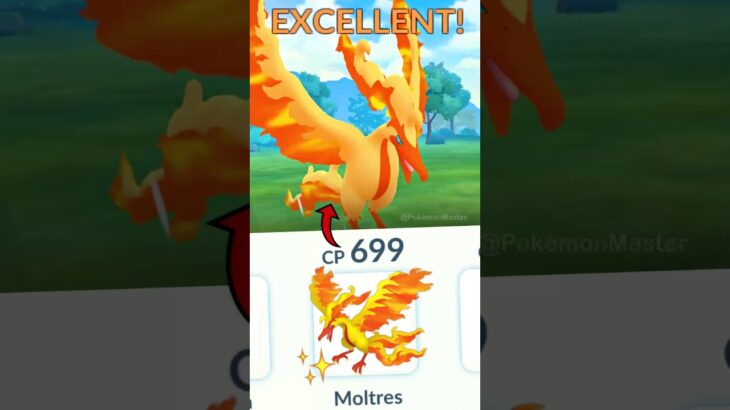 using 699 Cp SHINY GALARIAN MOLTRES vs High Cp Grunt (Pokemon GO)