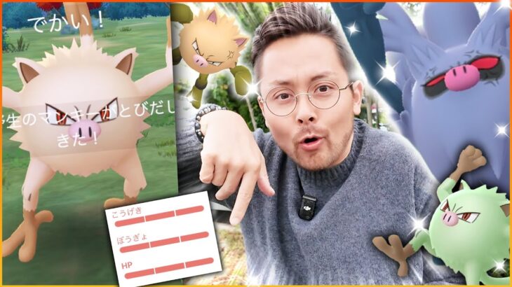 ヤバイ100％がきた！？XXLのコノヨザル狙いで進化祭り！！マンキーコミュデイ【ポケモンGO】