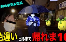 【冬の始まり】ミニーブ色違い実装！色違い出るまで帰れま10【ポケモンGO】