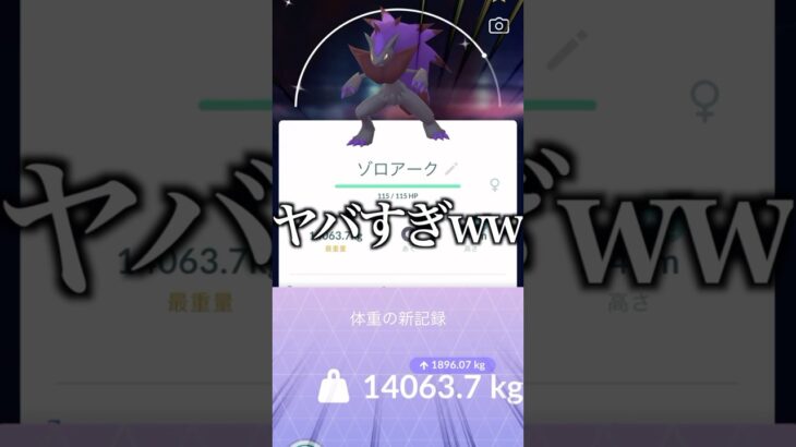 14トンの色違いゾロアークゲットw #ポケモンgo