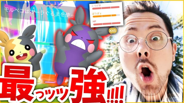 禁止ポケモン級？！ロケット団討伐で最強ポケモンのモルペコを知ってますか？1匹で全てに勝てます！！【ポケモンGO】