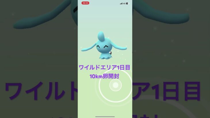 ワイルドエリア1日目卵開封#shorts #ポケモンgo