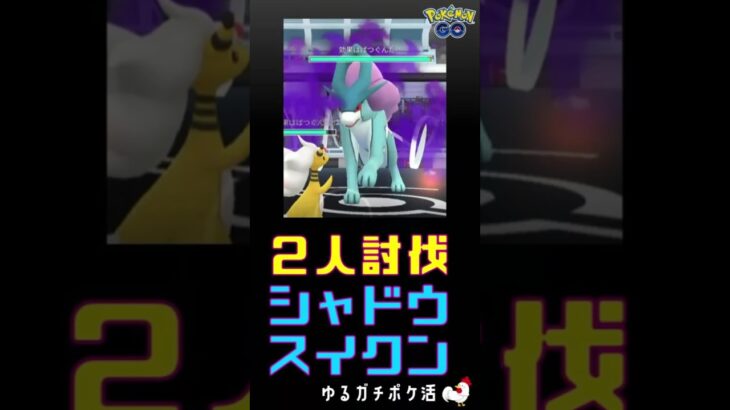 【圧勝！2人討伐！シャドウスイクン】 #ポケモンgo #スイクン #レイドバトル Taking Down Shadow Suicune with Just Two Players!