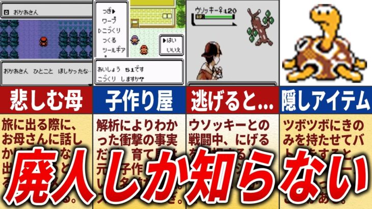 ポケモン金銀の普通にプレイしてると気づかない要素20選【ポケモン金銀】