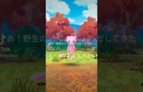 2024.11.29ポケモンGOミュウ#ポケモン#ポケモンGO#ミュウ