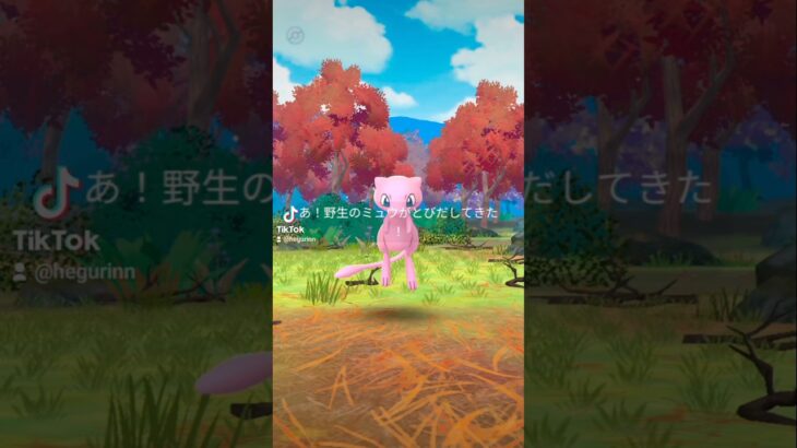 2024.11.29ポケモンGOミュウ#ポケモン#ポケモンGO#ミュウ