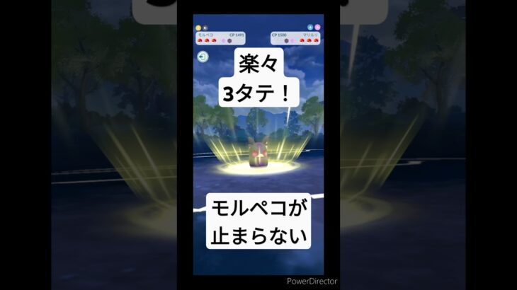 モルペコが強すぎて3タテ！ #ポケモンgo #pokemongo #shorts