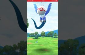 ポケモン捕獲戦　パート640 ポケモンgo フリーザー　#pokemon