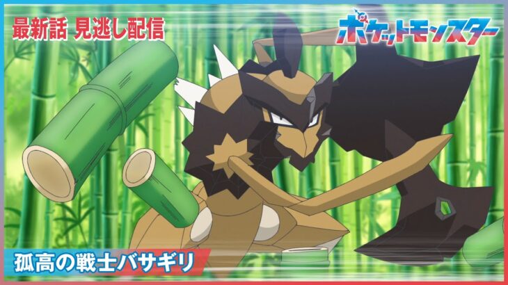 【公式】アニメ「ポケットモンスター」第73話「孤高の戦士バサギリ」（見逃し配信）