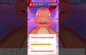 マックスマンデーで96%ヒトカゲきたああああ！！！！！【ポケモンGO】　#ダイマックス　#ヒトカゲ　#ポケモンGO