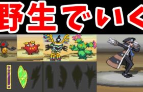 野生ポケモン（バッジ３個）でシングルトレインのノボリを倒せるのか？【ゆっくり実況】【ポケモンBW】