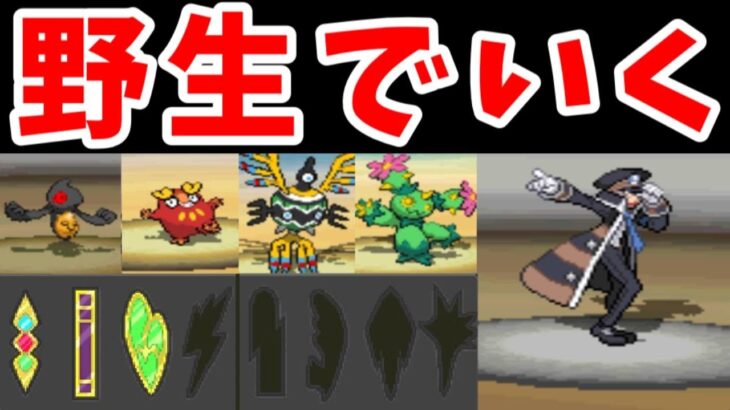 野生ポケモン（バッジ３個）でシングルトレインのノボリを倒せるのか？【ゆっくり実況】【ポケモンBW】