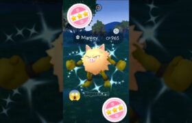 Finally I Got Shundo ✨Shiny Primeape in pokemon go #pokemon #soparstart #shiny #shundo