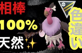 GBL ハイパーリーグ〈バルジーナ〉色違い！相棒！100%！野生産！最強！【ポケモンGO】