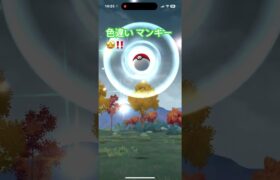 色違い マンキー🤩‼️ モンキーダンス💃🐒🐵　ポケモンGO