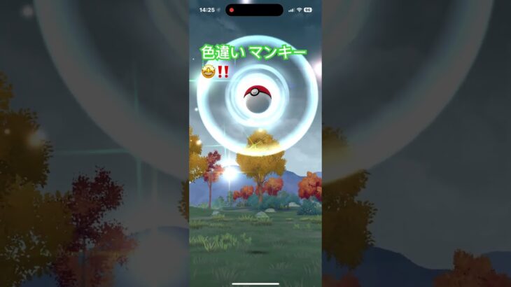 色違い マンキー🤩‼️ モンキーダンス💃🐒🐵　ポケモンGO