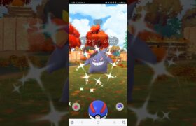 ポケモンGO　色違い　ゲンガー