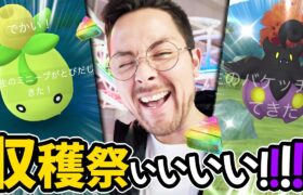 不具合？変更？！ミニーブスポアワ回った結果！！！バケッチャ色違い爆発ぅうう！！【ポケモンGO】