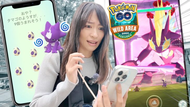 マジでキツい。ワイルドエリア福岡に潜入したらとんでもない現実が待っていた・・・【ポケモンGO】