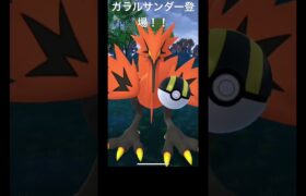 #ガラル三鳥#サンダー#ポケモンGO