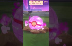 【難易度中】ダイマックスゲンガー極小サークルクリティカルゲット！【ポケモンGO】