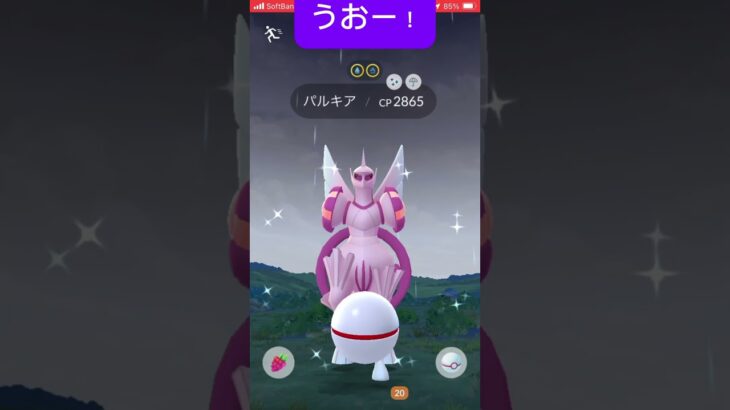 パルキア討伐！フィールド効果来いっ……えっ！　やばっ#ポケモンGO#バズれ