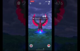 #ポケモンGO 毎日おさんぽおこう！パート3 今回遂にガラル3鳥が？！結果はいかに！！