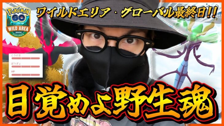 【ポケモンGO】色違いガラル三鳥コンプなるか！？空前絶後の〇〇ラッシュに大興奮！？ワイルドエリア・グローバル最終日をロックにキメてやるぜっっっ！！【ハードロック】