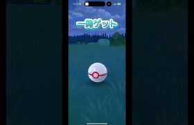 色違い　カイオーガ　確定一発ゲット　ポケモンGO