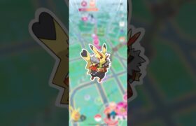 ついに来た、ワイルドエリアグローバル!!【ポケモンGO】