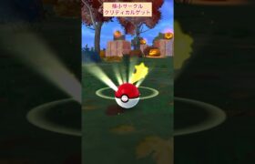 【難易度高】モルペコ極小サークルクリティカルゲット！【ポケモンGO】