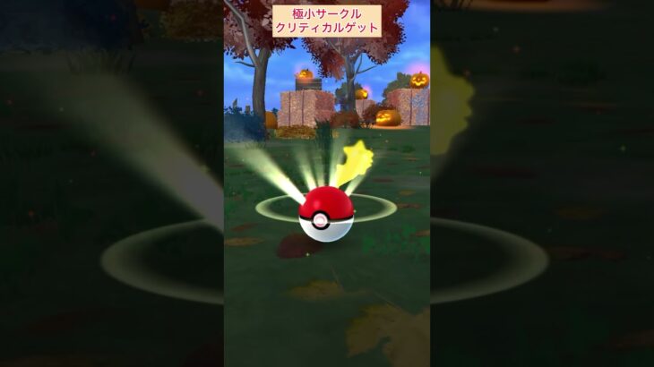 【難易度高】モルペコ極小サークルクリティカルゲット！【ポケモンGO】