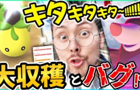 無限バグ！？まさかの前日に緊急実装！？ガチ案件勃発からの大収穫祭り！？ミニーブ色違いぃいいいキタキタキターーー！！！！！【ポケモンGO】