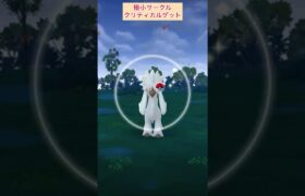 【難易度低】トリミアン極小サークルクリティカルゲット！【ポケモンGO】