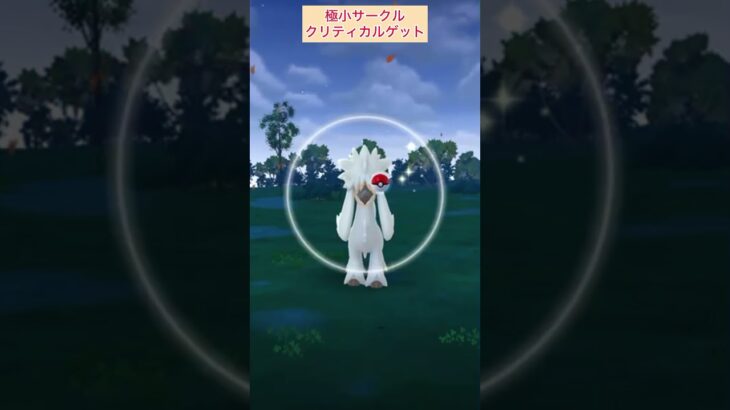 【難易度低】トリミアン極小サークルクリティカルゲット！【ポケモンGO】