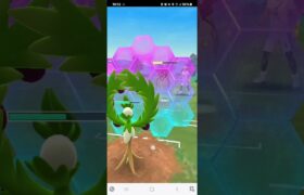 ポケモンGO マスタープレミア コピーリザードン、ルシアスのオリーヴァ、Lカイリュー