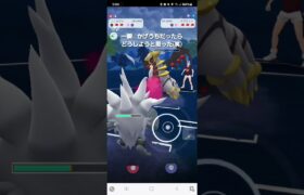 ポケモンGO 通常ハイパーリーグ トゲデマル、コノヨザル、(ダウン)Lカイリュー