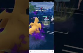 ポケモンGO 通常ハイパーリーグ Sカイリュー、トゲデマル、ガラルフリーザー