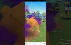 ポケモンGO 通常ハイパーリーグ トゲデマル、Sカイリュー、Sリザードン