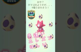 【ポケモンGO】タマゴふかチャレンジ、色違いエレズンがほしい！ #ポケモン #pokemon #ポケモンgo #pokemongo #wildarea #ワイルドエリア福岡 #shorts