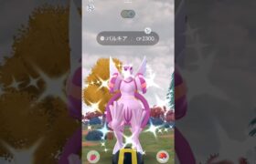 GOバトルリーグで伝説色違い！ #pokemongo ＃ポケモンGO＃GOバトルリーグ＃＃色違い＃色違いパルキア＃パルキア＃GOバトルリーグ報酬