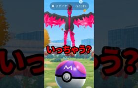 【ポケモンGO】ガラルファイヤーきたけどマスターボール最後の1個、、君ならどうする？ #2024年11月13日 #おさんぽおこう #ガラルファイヤー #マスターボール