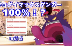 【ポケモンGO】キョダイマックスゲンガーで100%！？大雨の中連戦！！！【新宿】