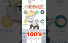 【ポケモンGO】10kmタマゴから個体値100%GET！！！#ポケモンgo #ポケモン #shorts #pokémon #ジャラコ