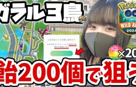 ワイルドエリアこそガラル３鳥!? ポケGO初心者🔰が”ふしぎなアメ大量大量投入”で10km歩き回った結果ｗｗ【ポケモンGO】