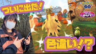 『ポケモンGO』《ねむのポケ活》ガラル3鳥GETだぜ！