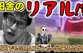 【ポケモンGO】コレが田舎キョダイマックスのリアル!?埼玉の田舎でもGMAXゲンガー成立するのか検証！