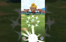 マンキーのコミュニティデイ！色違いもシャドウも！ポケモンGO！Pokemon GO！